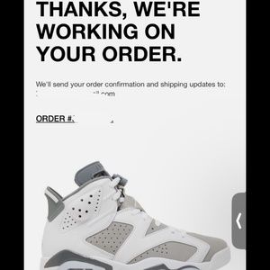 Air Jordan 6 Retro “cool grey”